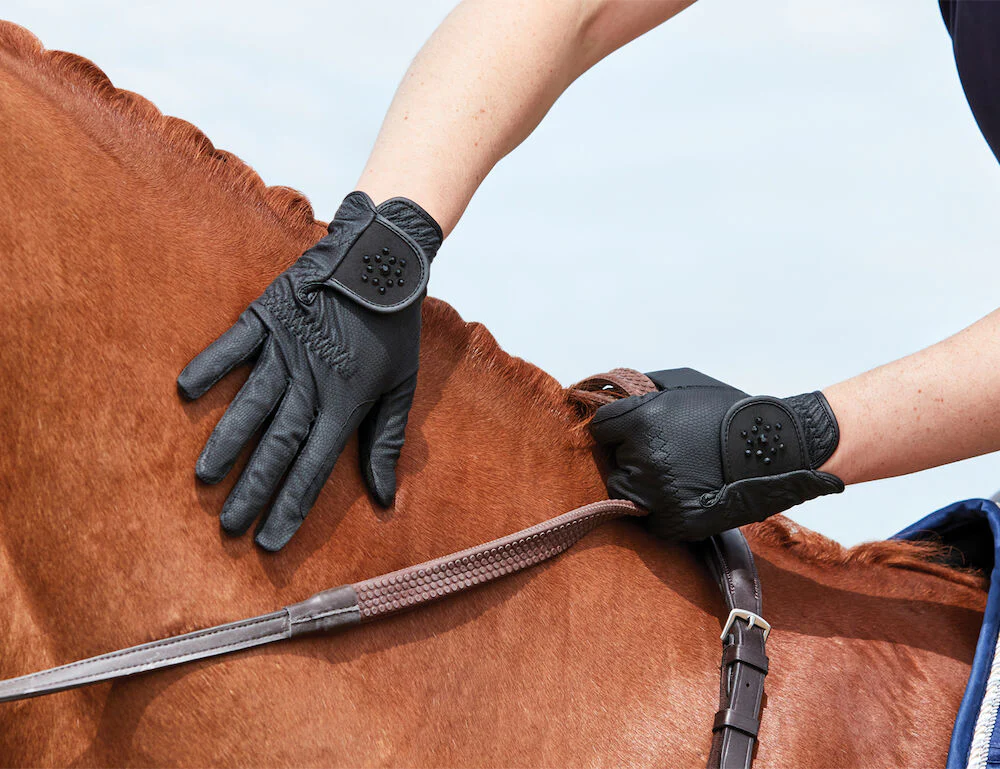 AU Equestrian Supplies Sales 2023 -AU Equestrian Supplies Sales 2023 1022306000 BLACK DB EVRYDY Bling Riding