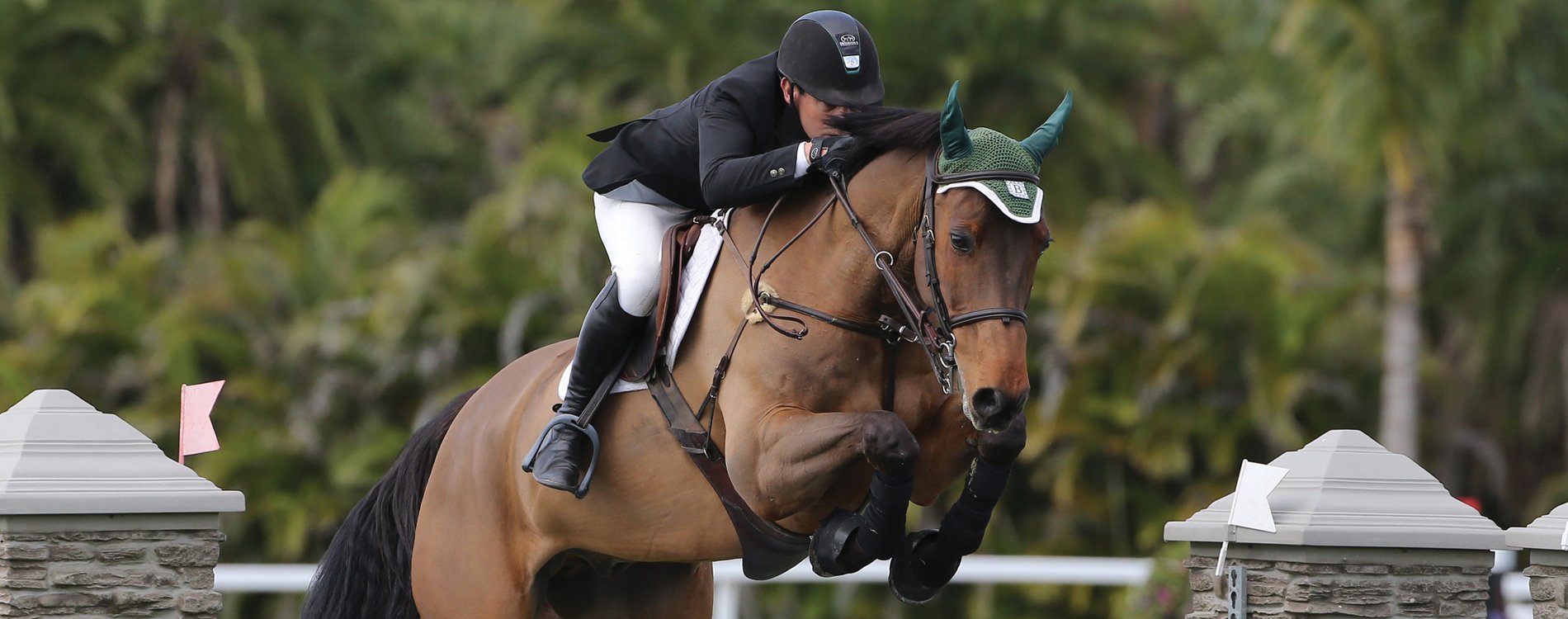 AU Equestrian Supplies Sales 2023 -AU Equestrian Supplies Sales 2023 Correct Attire for the Jumper Ring